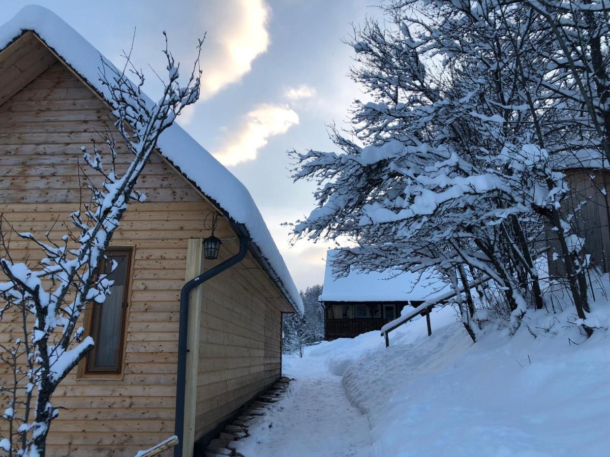 La noi la Munte Villa Matisesti Exterior foto