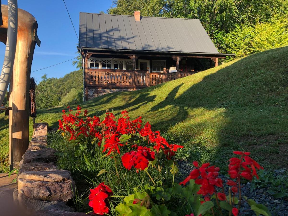 La noi la Munte Villa Matisesti Exterior foto