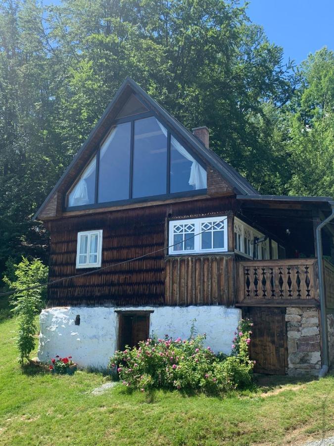 La noi la Munte Villa Matisesti Exterior foto